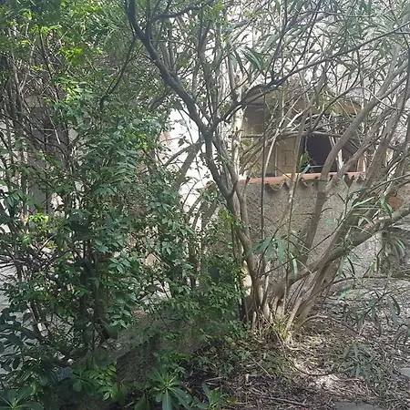 Maison Propriano Vakantiehuis Propriano (Corsica)